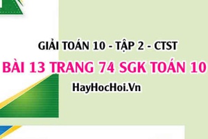 Giải bài 13 trang 74 Toán 10 tập 2 SGK Chân trời sáng tạo